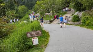 clingmans dome