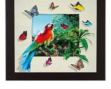 Image of ফ্রেমের সাথে ছবি