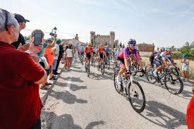 Diario de Burgos - News update