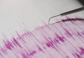 Temblor en Juchitán: Magnitud 4.6 genera alarma, sin daños ni víctimas