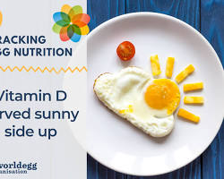 Eggs vitamin D