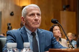Trend Google: fauci