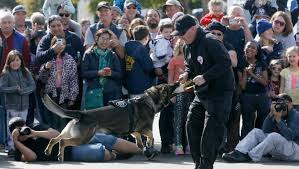 Gallery: Chillin' with Ventura Police