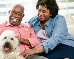 grandparents smiling with their petの画像