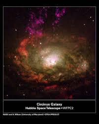 Image result for circinus galaxy