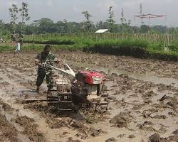 Gambar Traktor membajak sawah