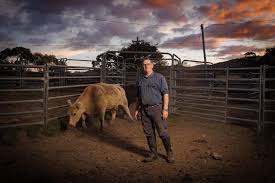 Oorlog in Iran leidt tot tekort aan kunstmest in Australië. ‘Is het wel de moeite waard om onze gewassen te zaaien?’