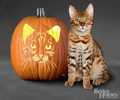 Image result for dog Pumpkin Carving