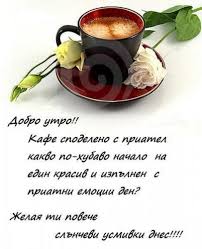 images?q=tbn:ANd9GcTLE6hWqPWxnP0rat1XaiD0A_sQHg7PQv1AZX8BUvsRNYef6J_iSg