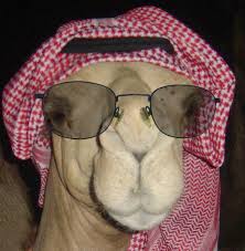 من الصعب ان اكون هنااااااااا