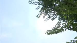 福岡県に熱中症警戒アラート！危険な暑さ続く！週末の天気は？ - Imagen principal del artículo