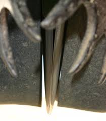 Image result for no till planter