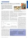 Glucosinolate gesunde Pflanzenstoffe aus Kohlsorten