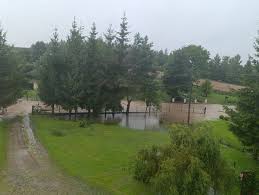 Nowa Trybuna Opolska - News update