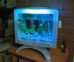 Résultat de recherche d'images pour "mac aquarium"