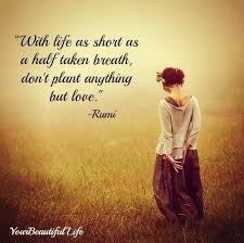 With life as short as a half taken breath, don&#39;t plant anything ... via Relatably.com