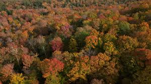 Vermont Public - News update