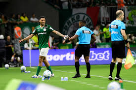 Preparador físico do Palmeiras é denunciado pelo STJD por virar "gandula"; Murilo será julgado