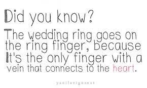 quotes for wedding day | Top Image Quotes via Relatably.com