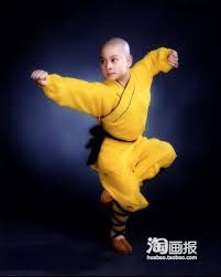 Kết quả hình ảnh cho hình ảnh  võ thuật