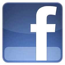 Suivez les aventures des petites abeilles de Pulpe de Vie sur Facebook et adoptez nous !