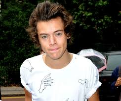 Image result for harry styles