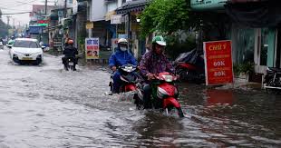 Báo điện tử Tiền Phong - News update