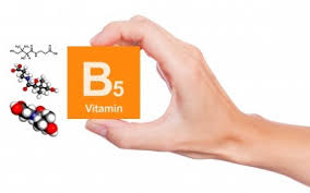 Overview of the B5 Vitamin