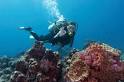 N2theBlue Scuba Diving St. Croix, US Virgin Islands