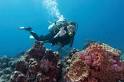 N2theBlue Scuba Diving St. Croix, US Virgin Islands