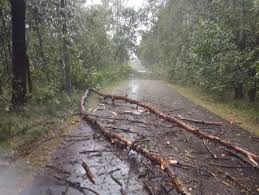 Dziennik Łódzki - News update