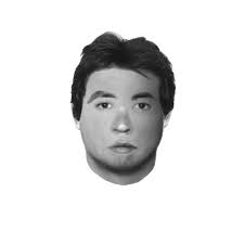 Composite Sketch of Suspect Sought in Sexual Assault in the 4200 Block of Wisconsin Avenue, NW - sexassault_4233wiscavenw_071613_SX13-282