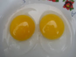 Hasil gambar untuk kuning telur