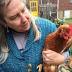 Urban Chicken Fad Wanes In Nashville, Leaving The Diehards To ...