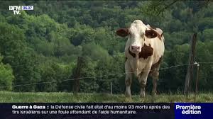 BFMTV - News update
