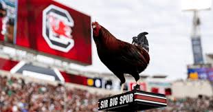 5 Things You Need to Know About the South Carolina Gamecocks