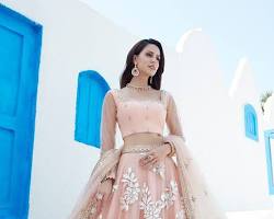 Image of Net Lehenga