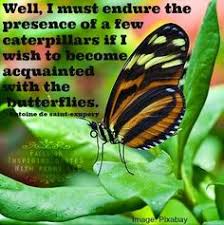 Butterfly Inspiration on Pinterest | Butterfly Quotes, Butterflies ... via Relatably.com