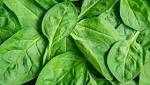 السبانخ هتقوى مناعتك وتحميك من