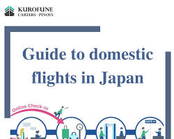 Japanese domestic flight boarding pass and a driver's licenseの画像