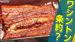 NHK - News update