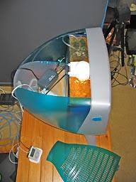 Résultat de recherche d'images pour "mac aquarium"