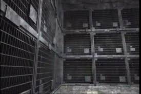 Image result for dulce underground base human cage