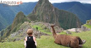 Bildergebnis für inca ruins
