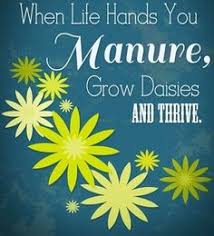 Flower Quotes on Pinterest | Growing Quotes, Flower and Facebook via Relatably.com