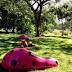 Urban Eden: Honolulu Biennial at Foster Garden