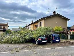 La Provincia di Cremona - News update