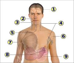 Image result for sida hiv