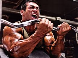 Resultado de imagen de gimnasio hipertrofia