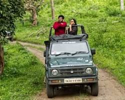 Image of Mudumalai National Park jeep safari